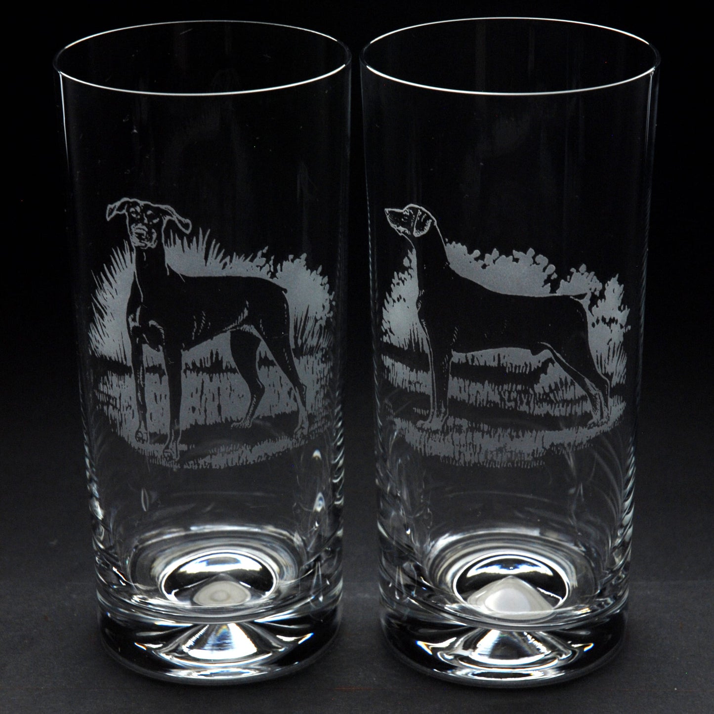 Dobermann Dog Highball Glass - Hand Etched/Engraved Gift