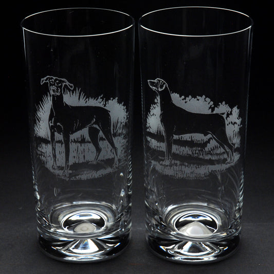 Dobermann Dog Highball Glass - Hand Etched/Engraved Gift