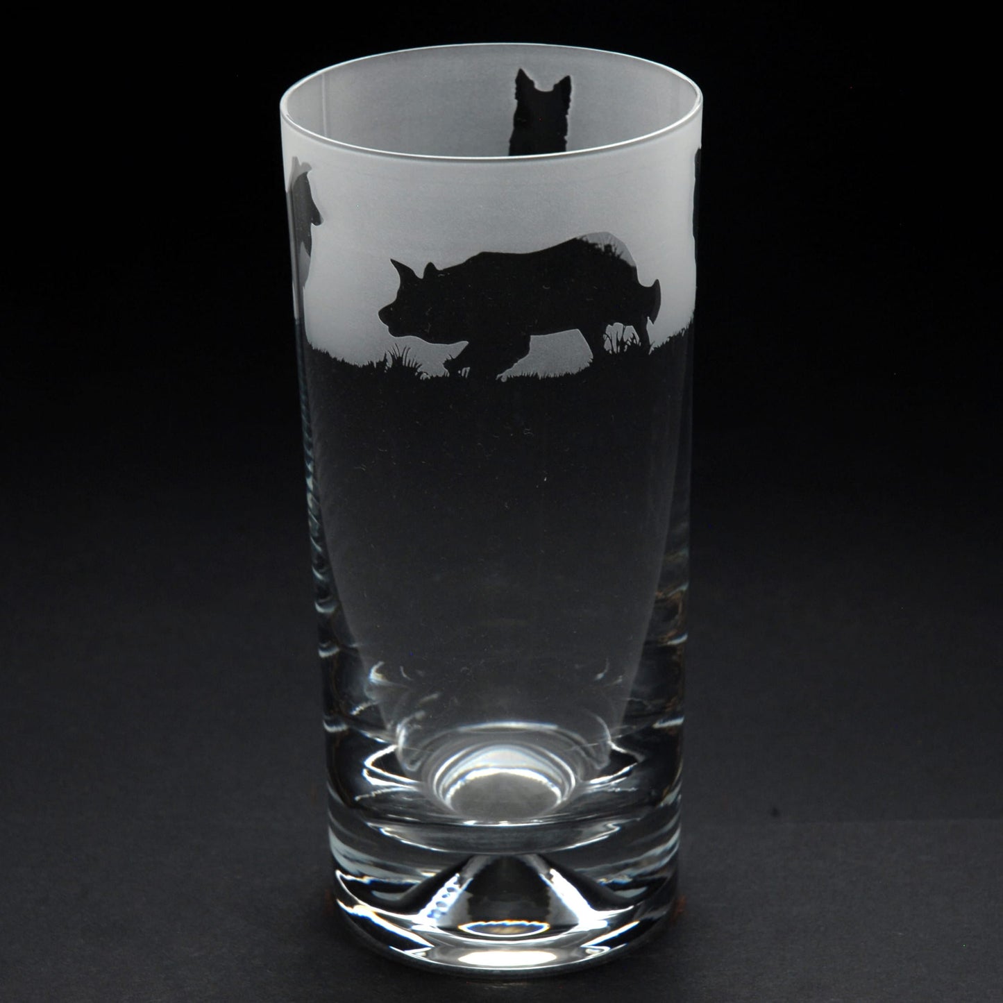 Border Collie Dog Highball Glass - Hand Etched/Engraved Gift