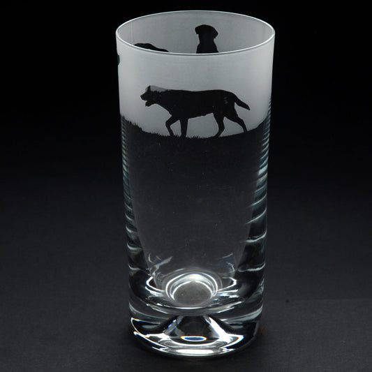 Labrador Dog Highball Glass - Hand Etched/Engraved Gift