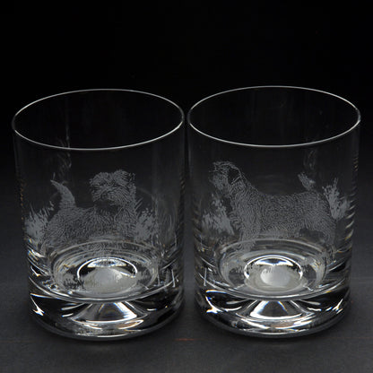 Norfolk Terrier Dog Whiskey Tumbler Glass - Hand Etched/Engraved Gift