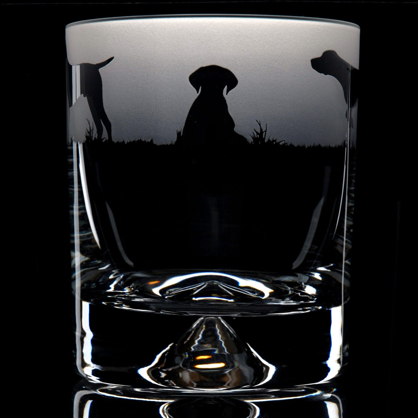 Pointer Dog Whiskey Tumbler Glass - Hand Etched/Engraved Gift