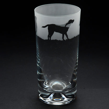 Labrador Dog Highball Glass - Hand Etched/Engraved Gift