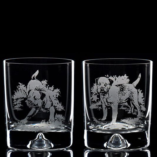 Border Terrier Dog Whiskey Tumbler Glass - Hand Etched/Engraved Gift