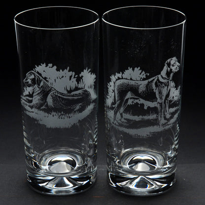 Rhodesian Ridgeback Dog Highball Glass - Hand Etched/Engraved Gift