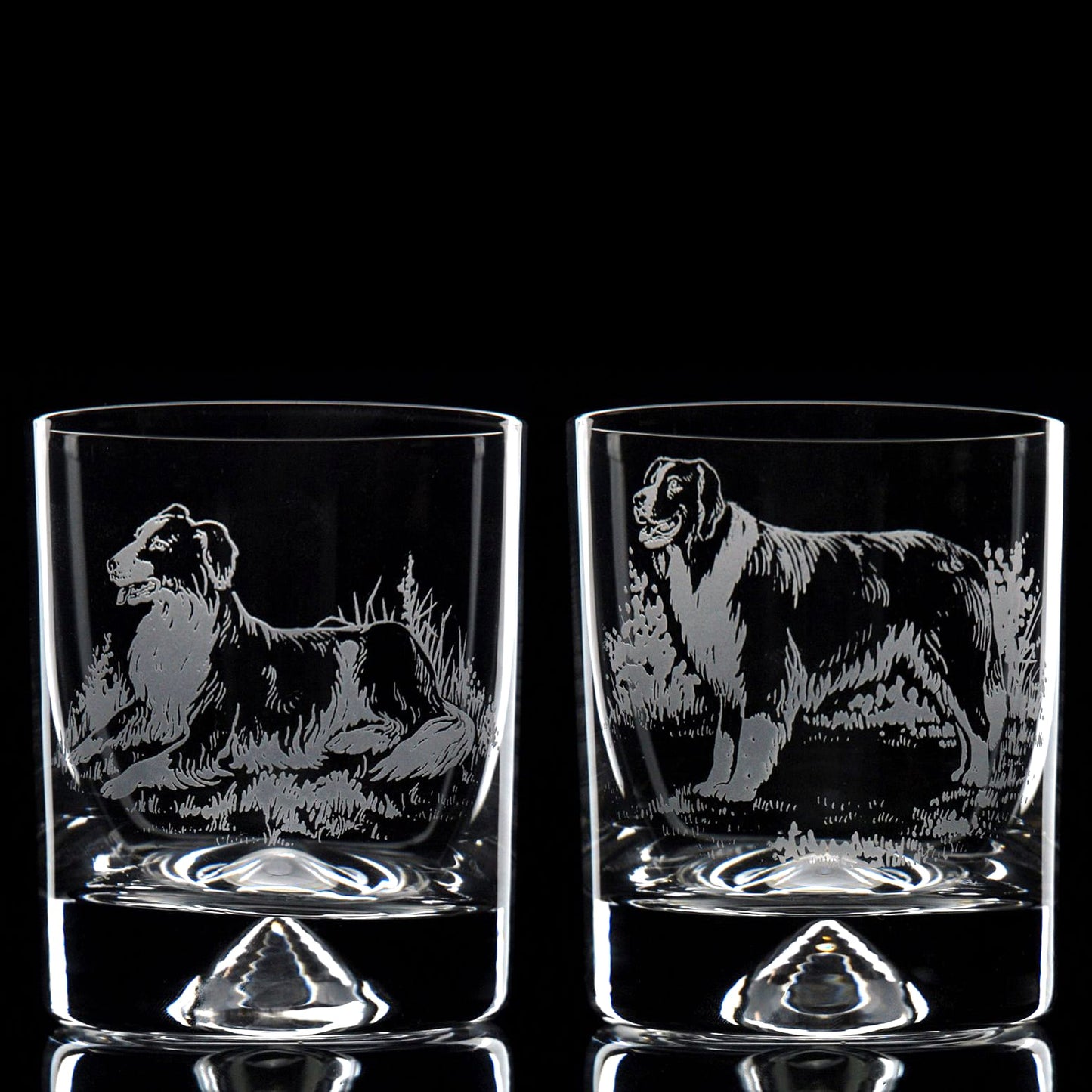 Border Collie Dog Whiskey Tumbler Glass - Hand Etched/Engraved Gift