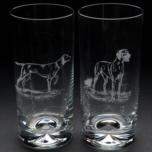 Hungarian Vizsla Dog Highball Glass - Hand Etched/Engraved Gift