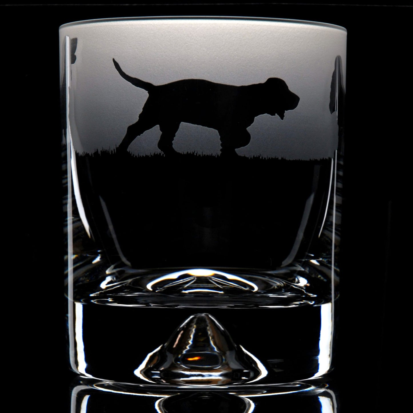 Cocker Spaniel Dog Whiskey Tumbler Glass - Hand Etched/Engraved Gift