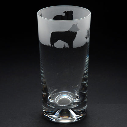 Border Collie Dog Highball Glass - Hand Etched/Engraved Gift