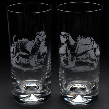 Schnauzer Dog Highball Glass - Hand Etched/Engraved Gift