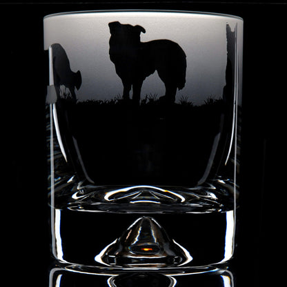 Border Collie Dog Whiskey Tumbler Glass - Hand Etched/Engraved Gift