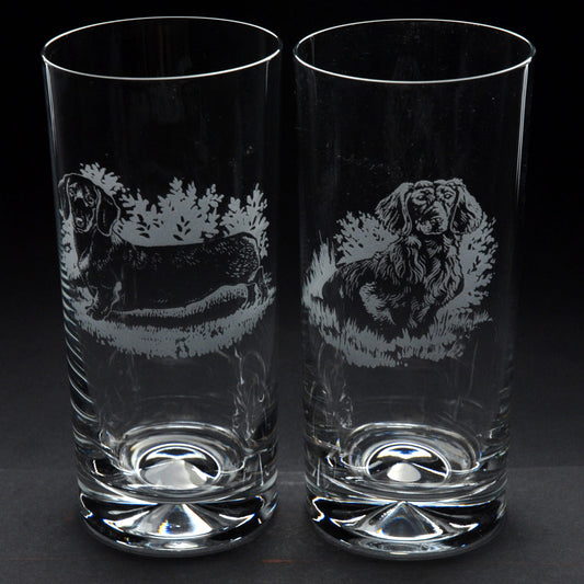 Dachshund Dog Highball Glass - Hand Etched/Engraved Gift