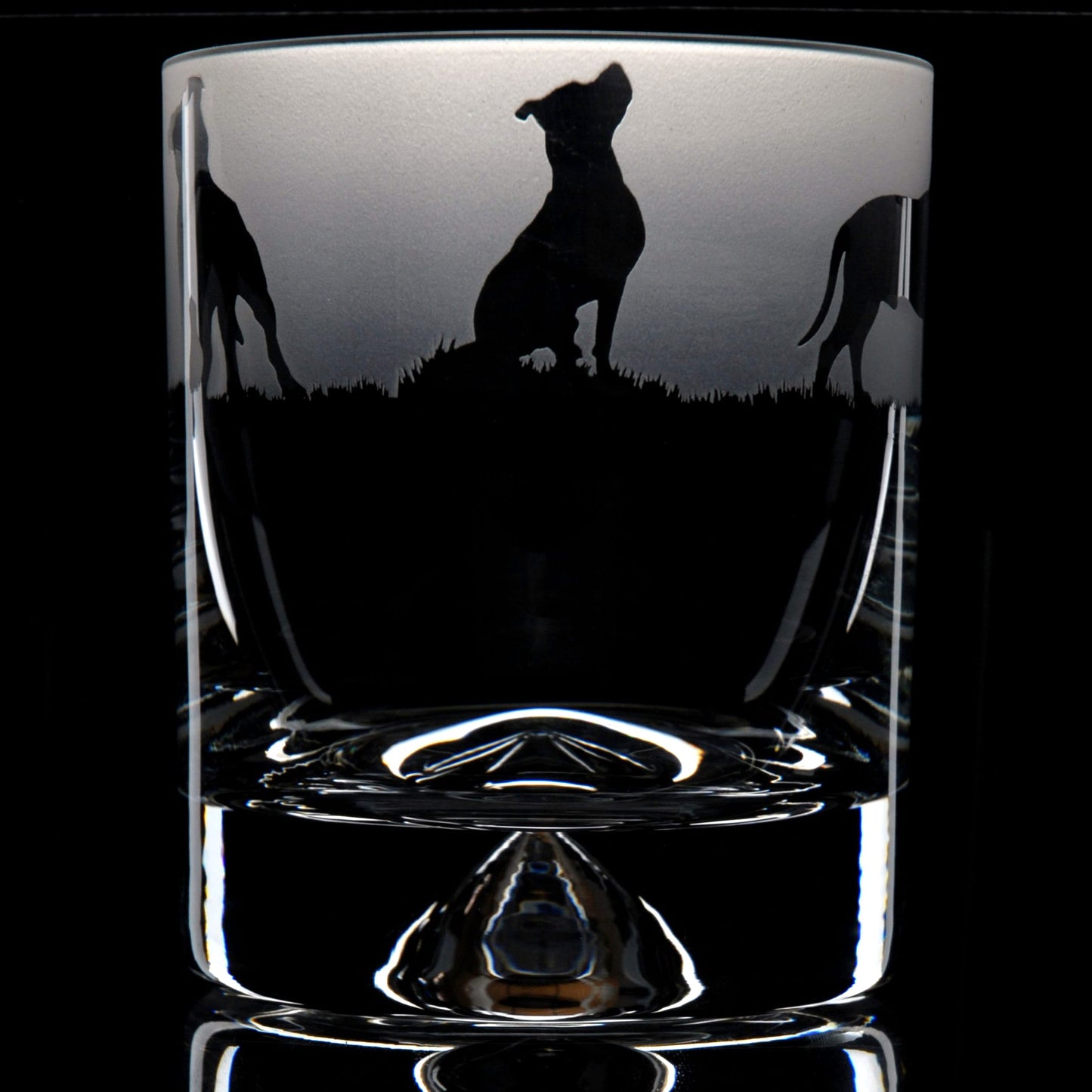 Pitbull Dog Whiskey Tumbler Glass - Hand Etched/Engraved Gift