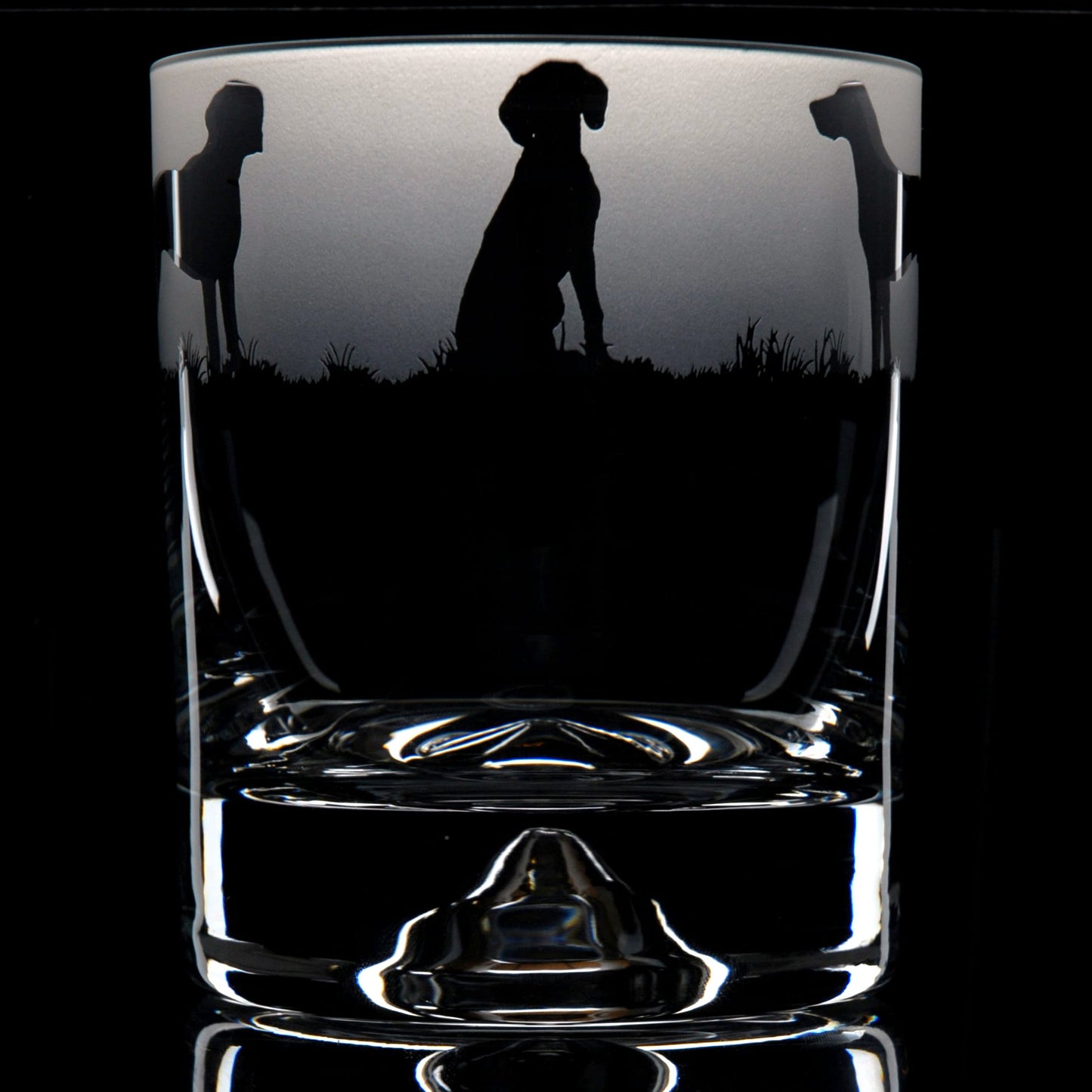 Pointer Dog Whiskey Tumbler Glass - Hand Etched/Engraved Gift