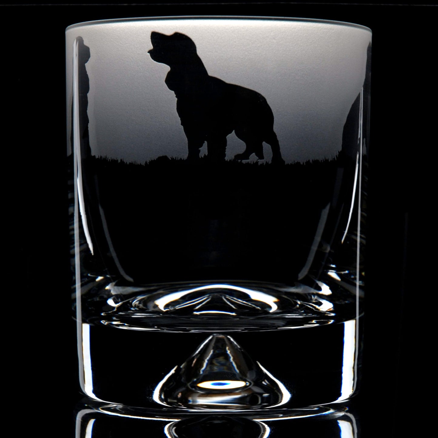 Cocker Spaniel Dog Whiskey Tumbler Glass - Hand Etched/Engraved Gift