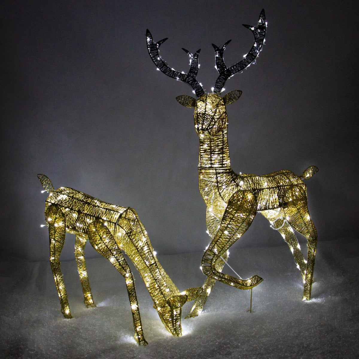 Light up Reindeer Gold Stag & Doe Set