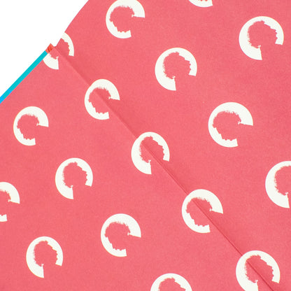 Relativity: The Special and General by Albert Einstein (Deluxe Hardback Sprayed Edge Edition)