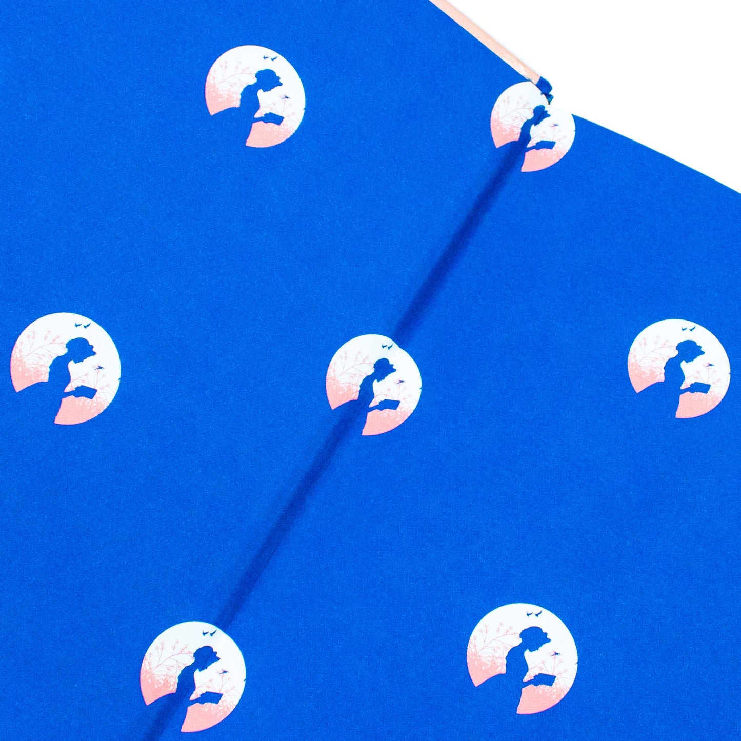 Little Women – Deluxe Hardback Sprayed Edge Edition by Louisa May Alcott | Classic Novel Collector’s Gift Edition