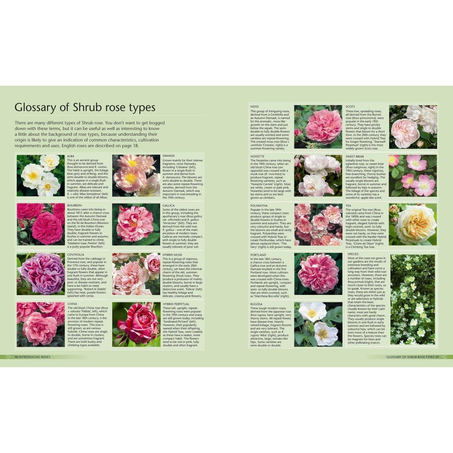 Alan Titchmarsh How to Garden: Growing Roses