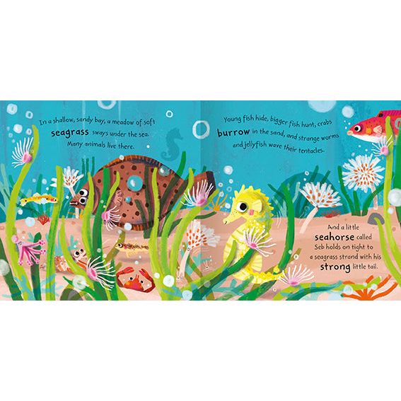 Childrens Ocean Adventure Stories Pictureflat 6 Books Collection Set (Nat the Narwhal, Olive the Octopus, Pippi the Penguin, Seb the Seahorse, Scout the Shark, Tia the Turtle)