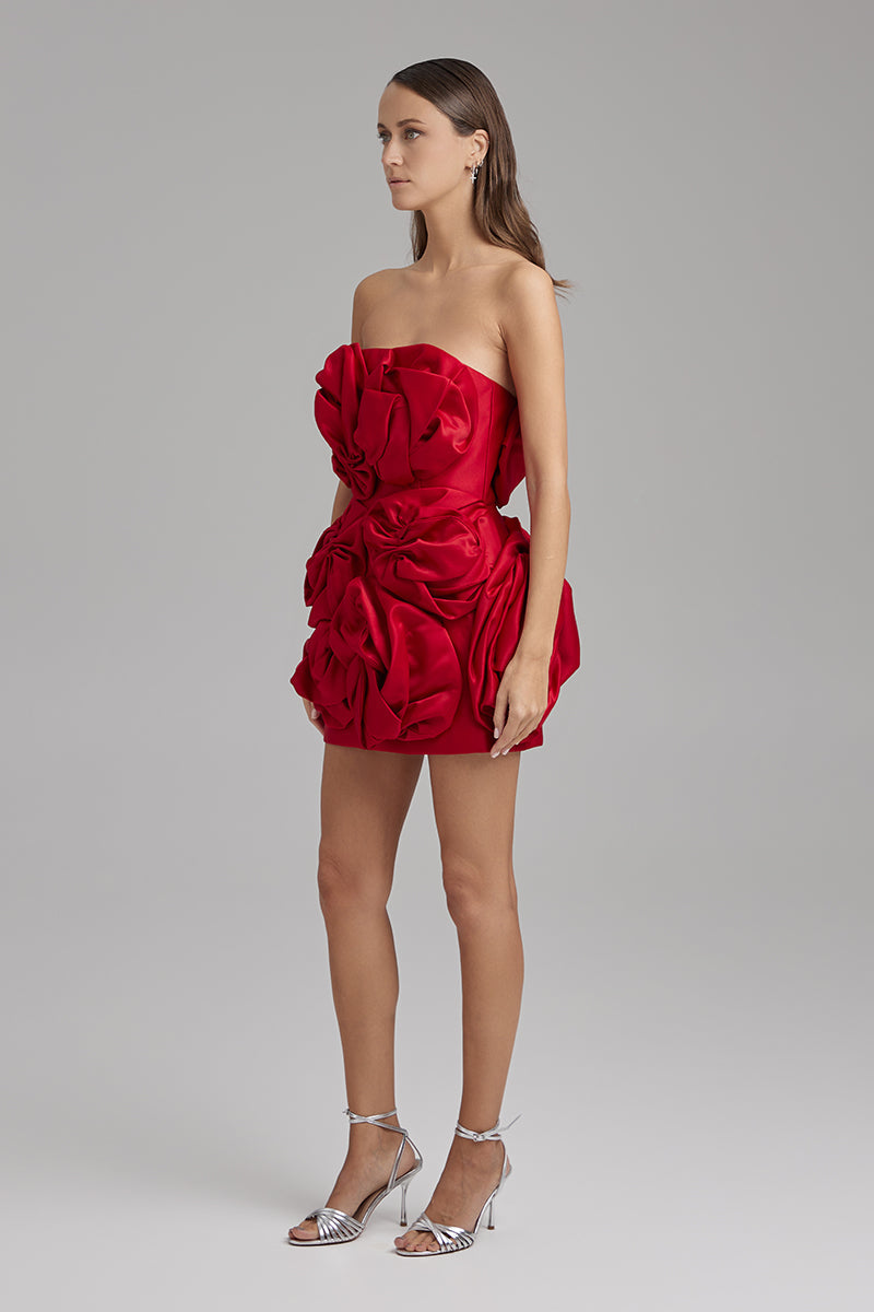 ROSE DRESS | strapless mini in red